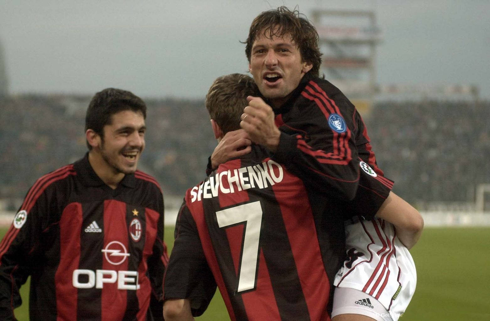 他不仅拥有 他不仅拥有